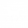 class-entry-horses