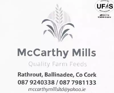 McCarthy Mills